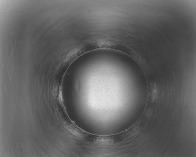 X0000077370619200610271922