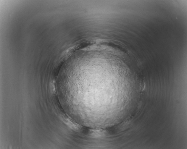 X0000077370621200610271922