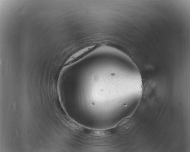 X0000077370623200610271922