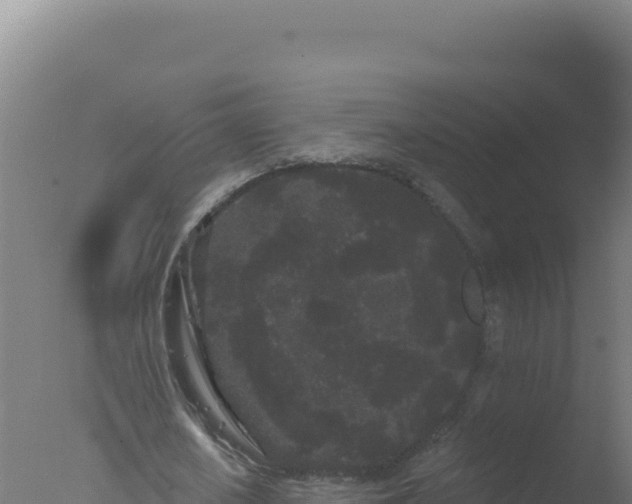 X0000077370626200610271921