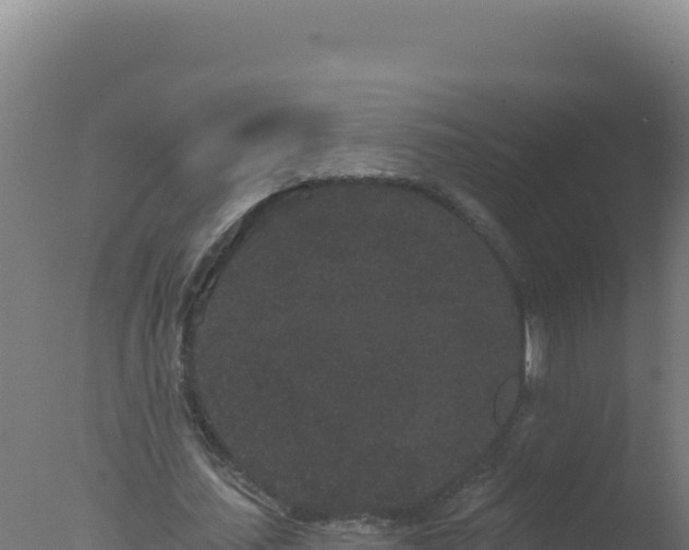 X0000077370627200610271921