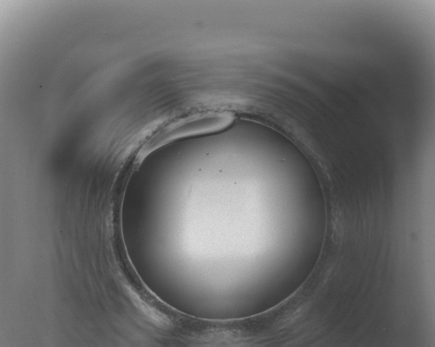 X0000077370629200610271921