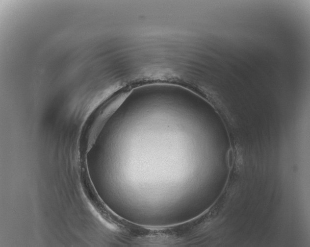 X0000077370630200610271921