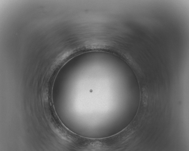 X0000077370631200610271921