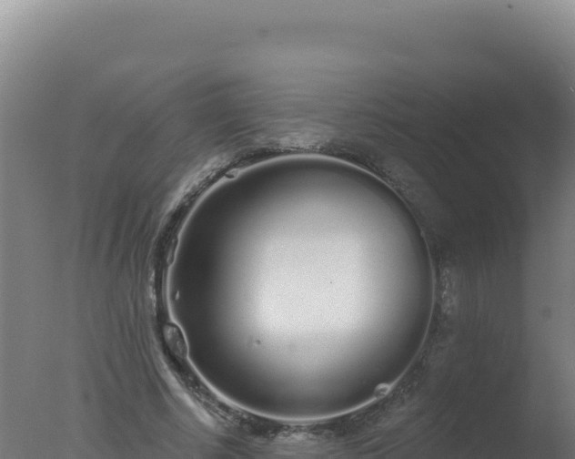 X0000077370634200610271921