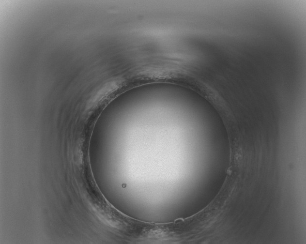 X0000077370635200610271921