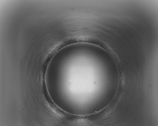 X0000077370637200610271921