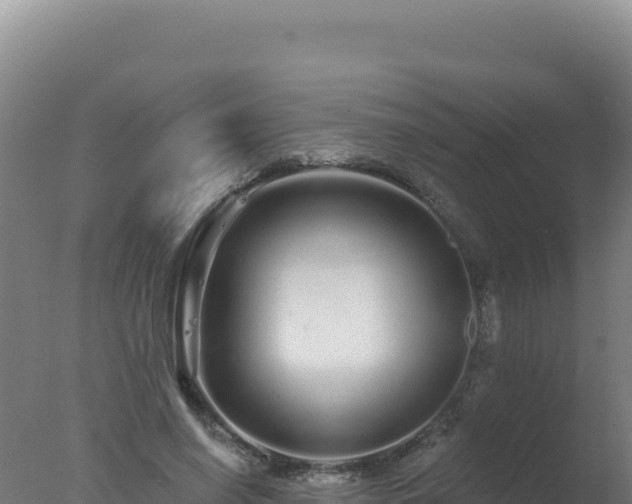 X0000077370638200610271921