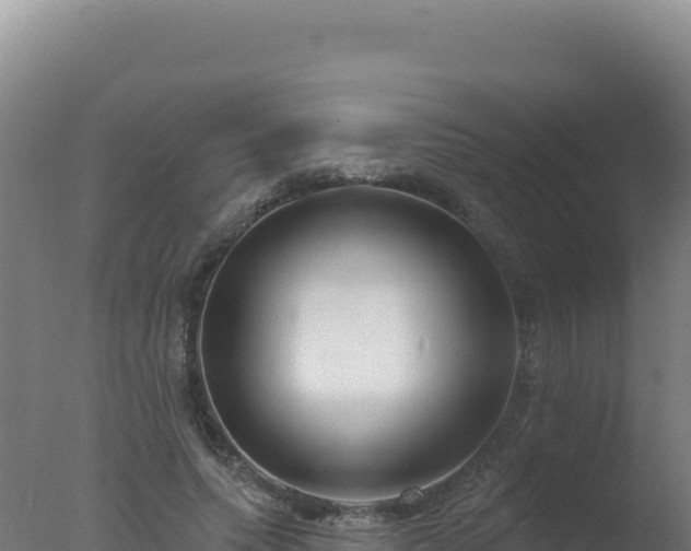 X0000077370639200610271921