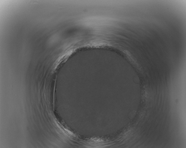 X0000077370640200610271921