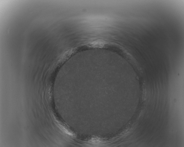 X0000077370641200610271921