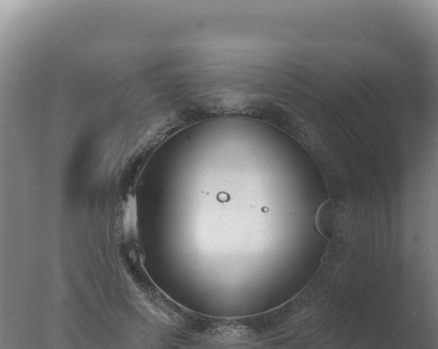 X0000077370642200610271921