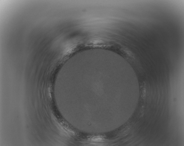 X0000077370643200610271921