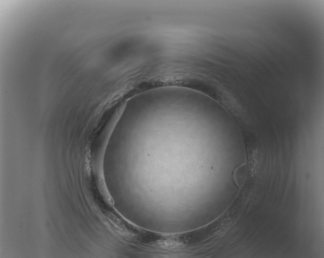 X0000077370644200610271921