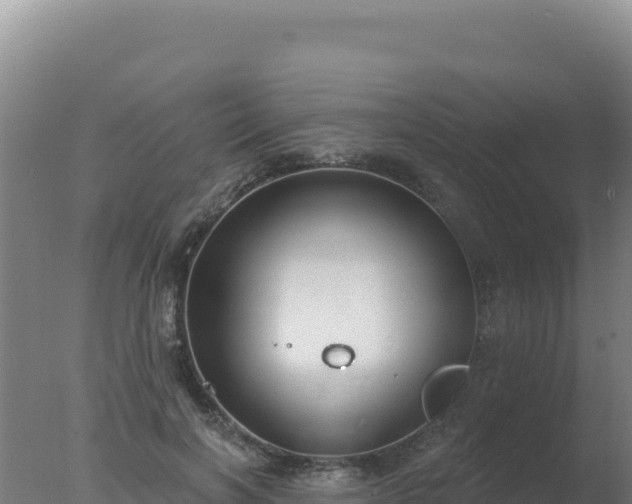 X0000077370646200610271921