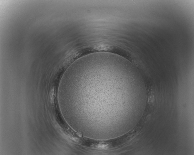 X0000077370647200610271921