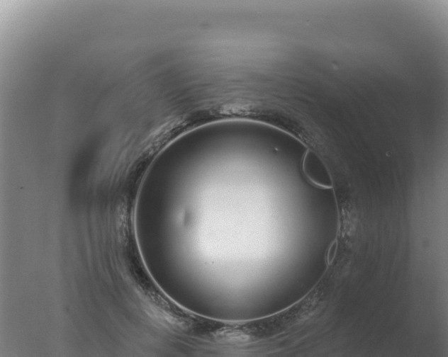 X0000077370648200610271921