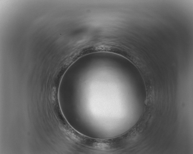 X0000077370649200610271921