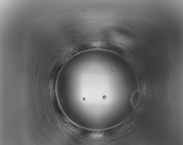 X0000077370651200610271921