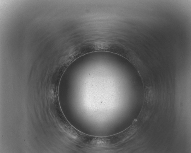 X0000077370655200610271921