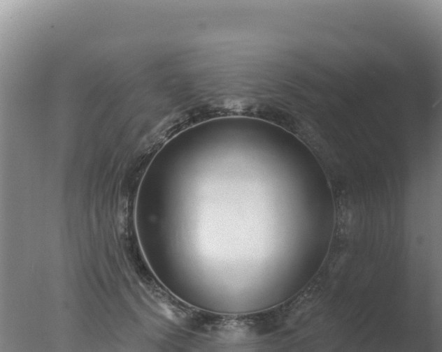 X0000077370656200610271921