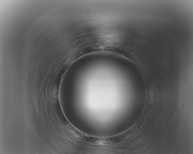 X0000077370657200610271921