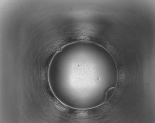 X0000077370658200610271921