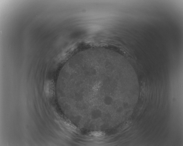 X0000077370659200610271921