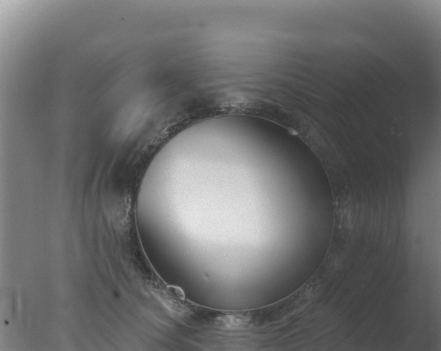 X0000077370660200610271921