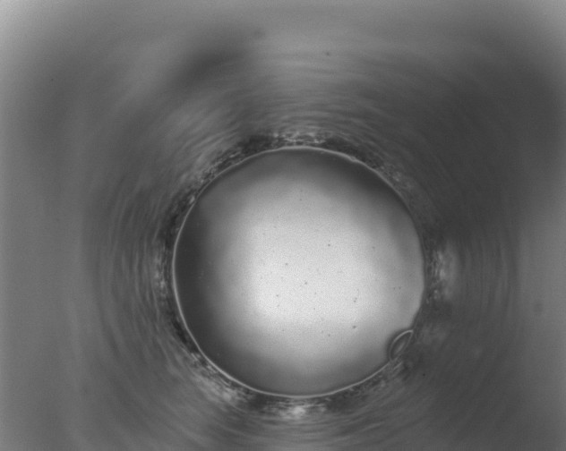 X0000077370663200610271921