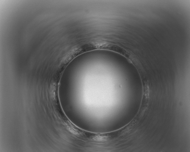 X0000077370664200610271921