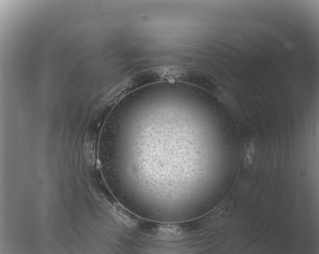 X0000077370666200610271921