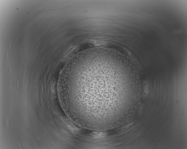 X0000077370667200610271921