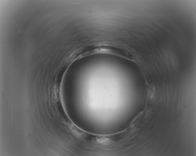 X0000077370669200610271921