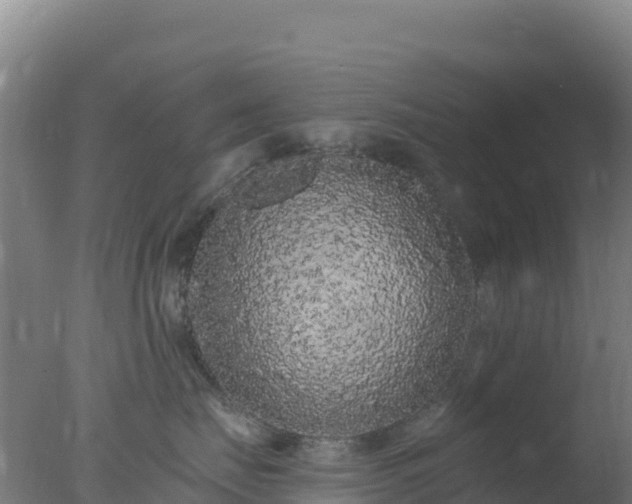 X0000077370671200610271921