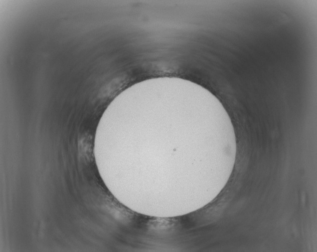 X0000077370672200610271922