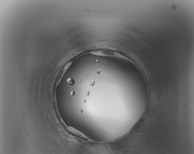 X0000077370673200610271921