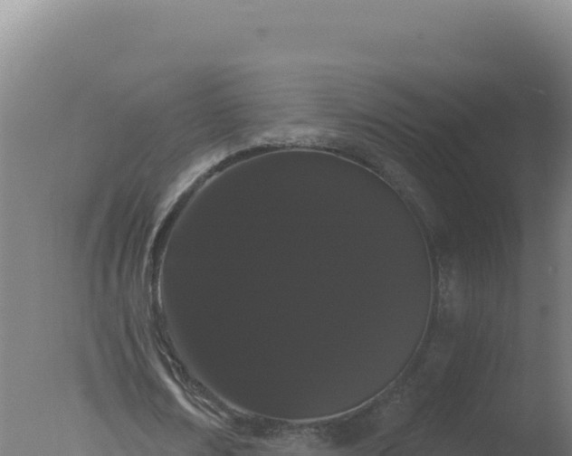 X0000077370674200610271921