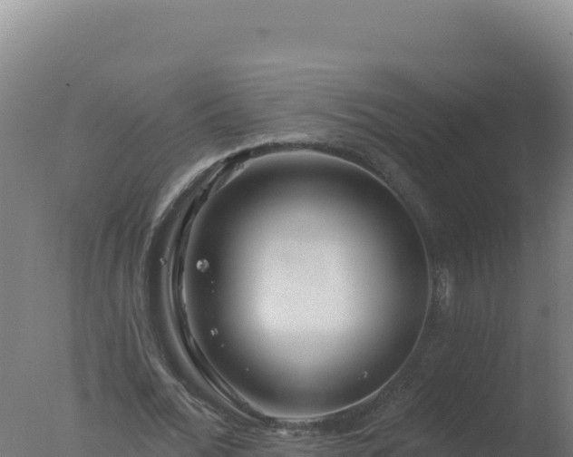 X0000077370676200610271921