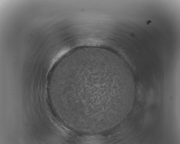 X0000077370679200610271921