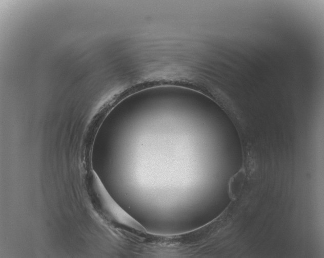 X0000077370680200610271921