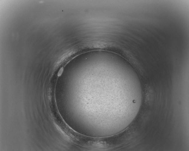 X0000077370683200610271921