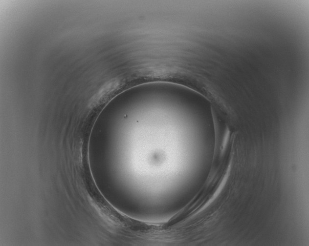 X0000077370685200610271920