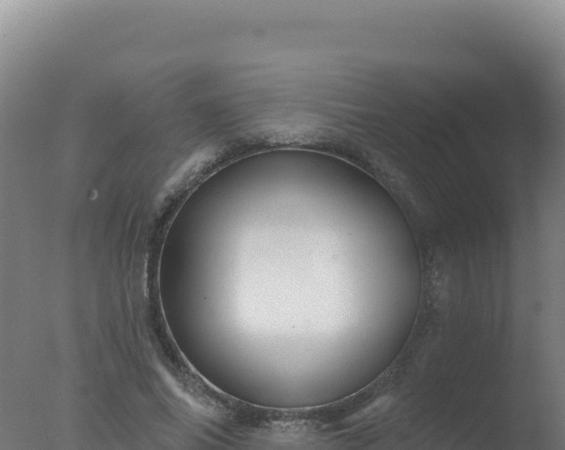 X0000077370686200610271920