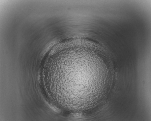 X0000077370687200610271920