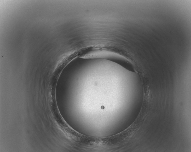 X0000077370688200610271920