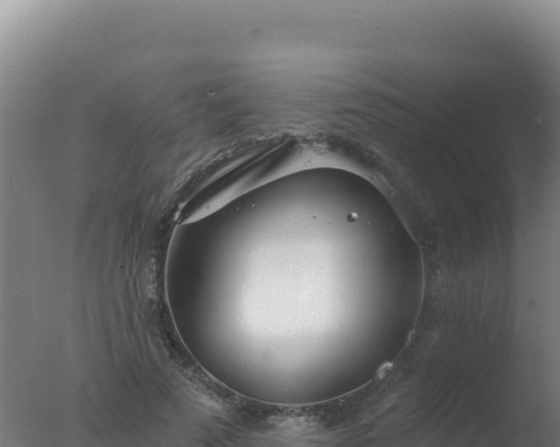 X0000077370689200610271920