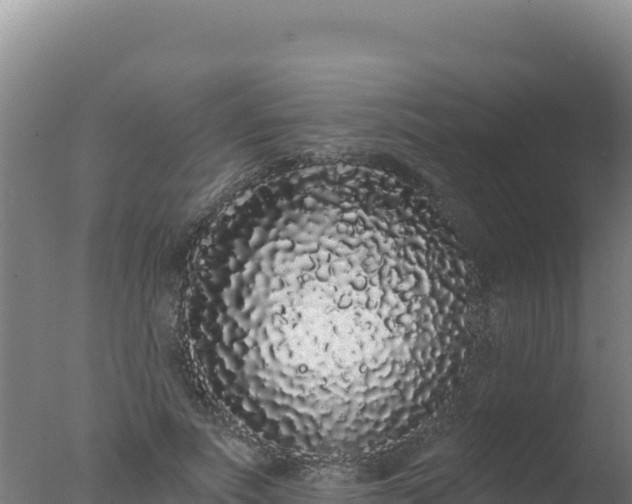 X0000077370691200610271920