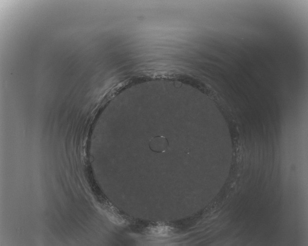 X0000077370695200610271920