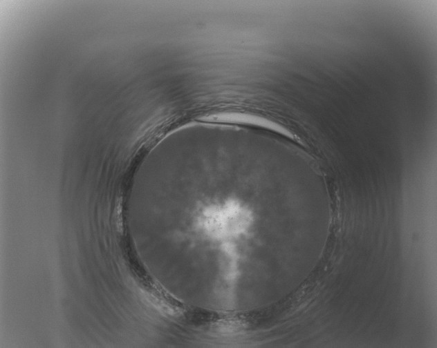 X0000077370696200610271920